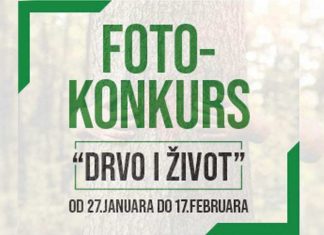 Dečji foto konkurs: Drvo i život