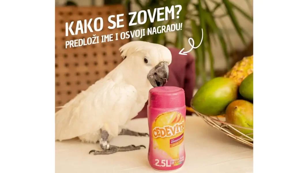 Cedevita nagradna igra: PRedloži ime i osvoji nagradu!
