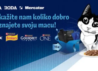 Purina nagradna igra: Zašto je super biti maca?